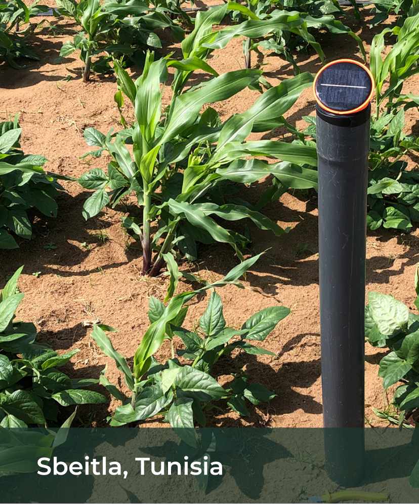 deployment at africa