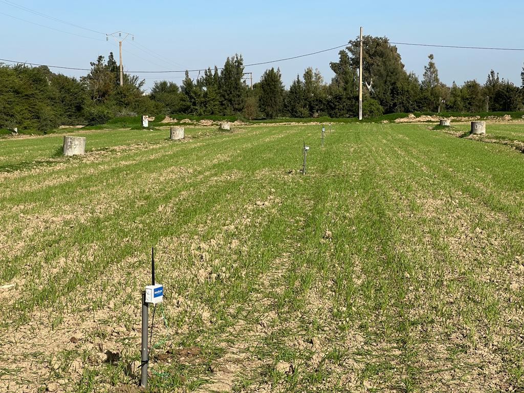 Wazifarm device installed at pilot field