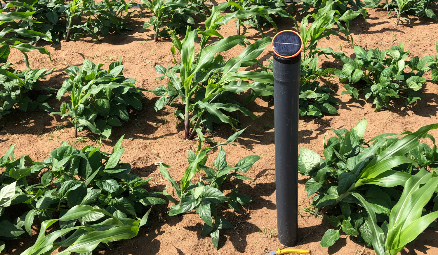 Smart Tensiometer installed at pilot site